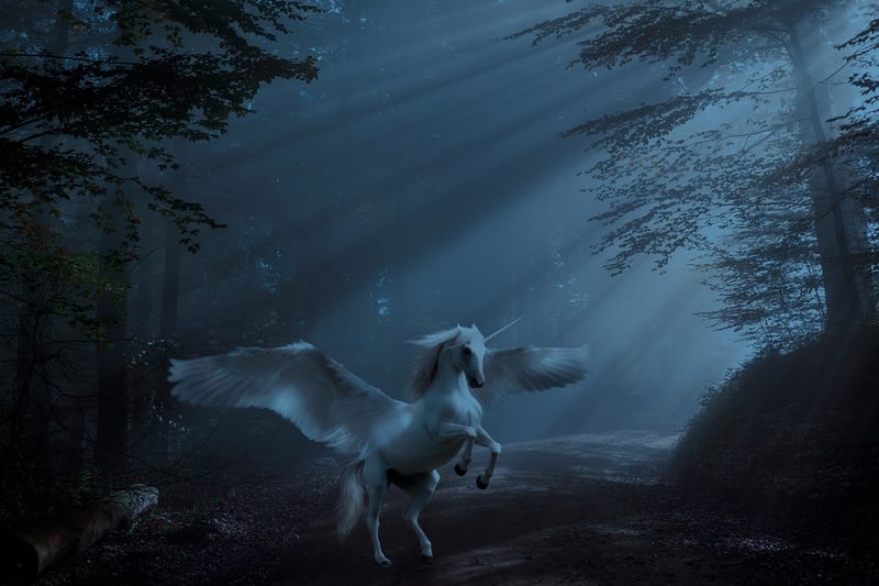 Unicorn Carriage